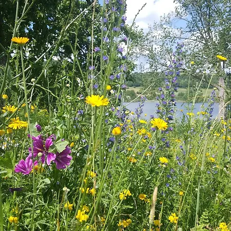 Hotel-ferienwohnungen Cafe Maarblick فندق 3*