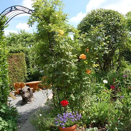 Hotel-ferienwohnungen Cafe Maarblick 酒店 3*