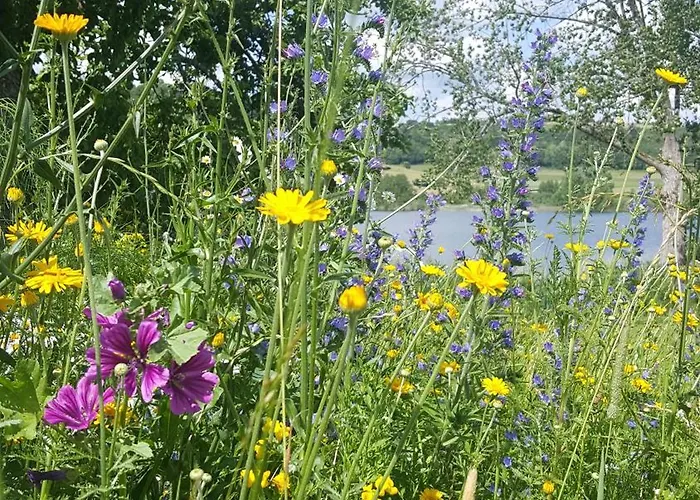 Hotel-ferienwohnungen Cafe Maarblick Отель 3*