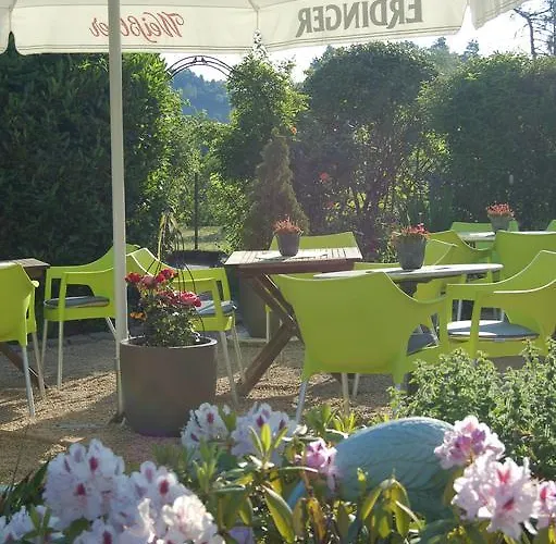 Отель Hotel-ferienwohnungen Cafe Maarblick 3*